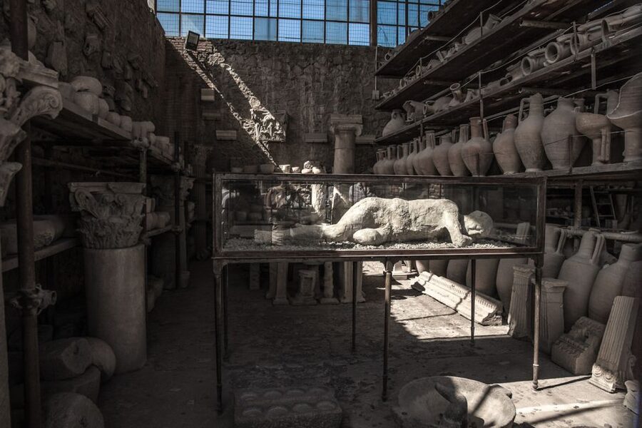 From Sorrento: Pompeii Half-Day Skip-the-Line Tour - Who should choose this half-day tour?