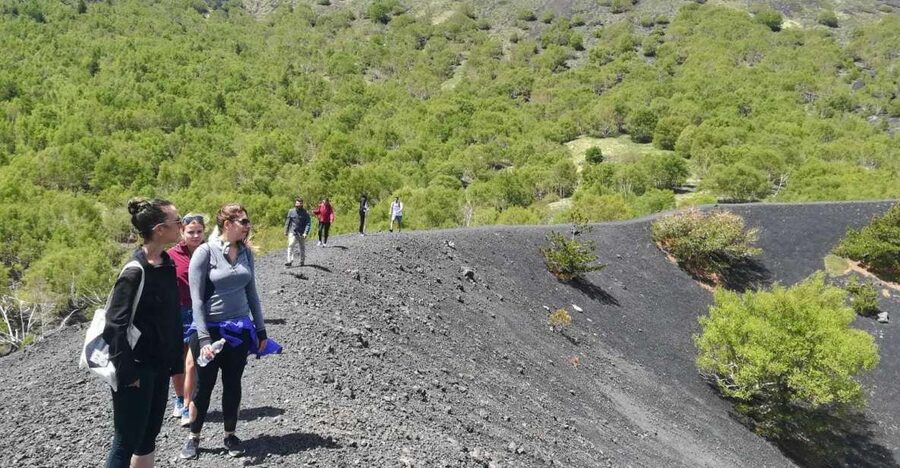From Taormina: Half-Day Mount Etna Morning Trek - Why Etna works so well as a half-day trip
