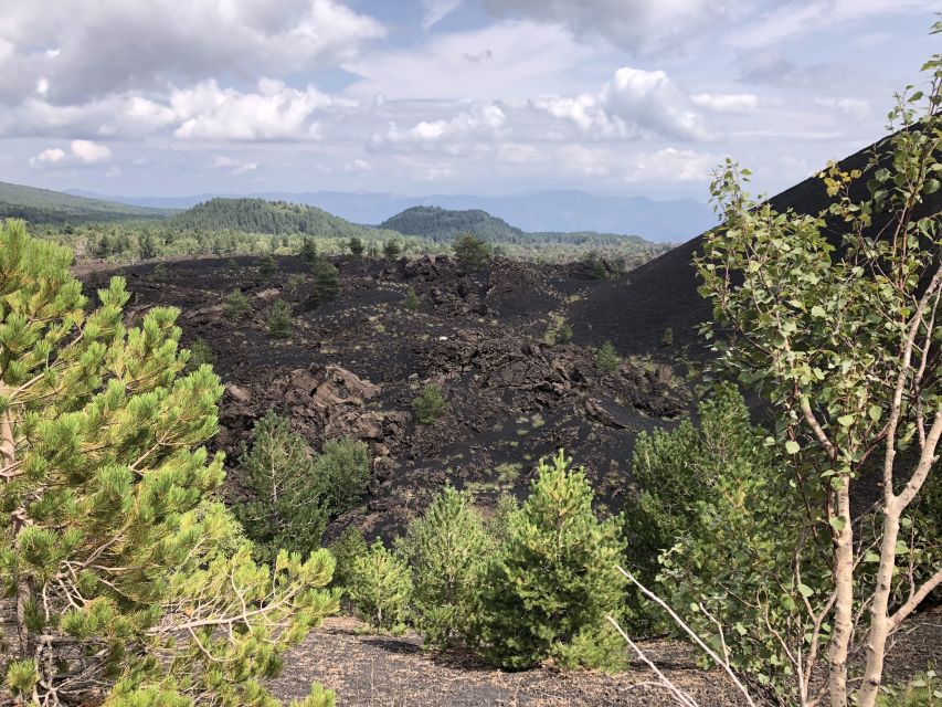From Taormina: Half-Day Mount Etna Morning Trek - Walking the extinct craters