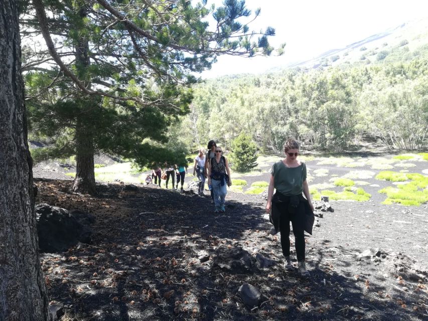 From Taormina: Half-Day Mount Etna Morning Trek - Lunch and wine near Etna