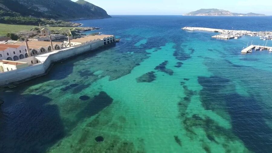 From Trapani: Day Cruise to Favignana & Levanzo with Lunch - Key points at a glance