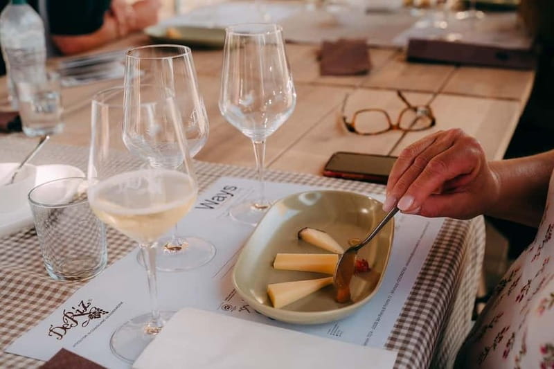 From Venice: Prosecco Hills and Wine Tasting Tour - Practical timing and return to Venice