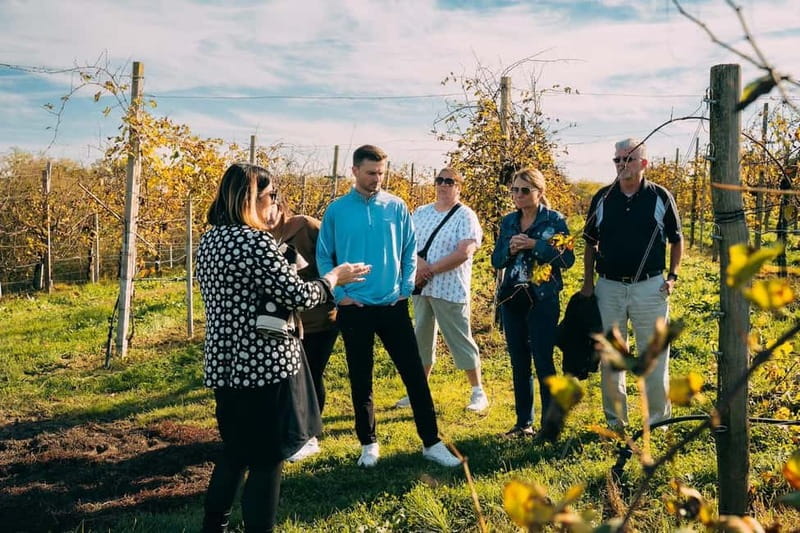From Venice: Prosecco Hills and Wine Tasting Tour - Leaving Venice for Prosecco country