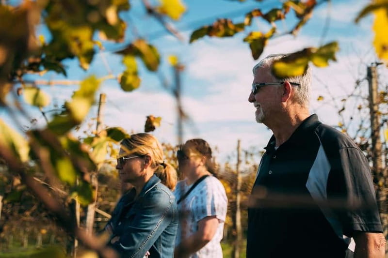 From Venice: Prosecco Hills and Wine Tasting Tour - A light lunch with Veneto flavors