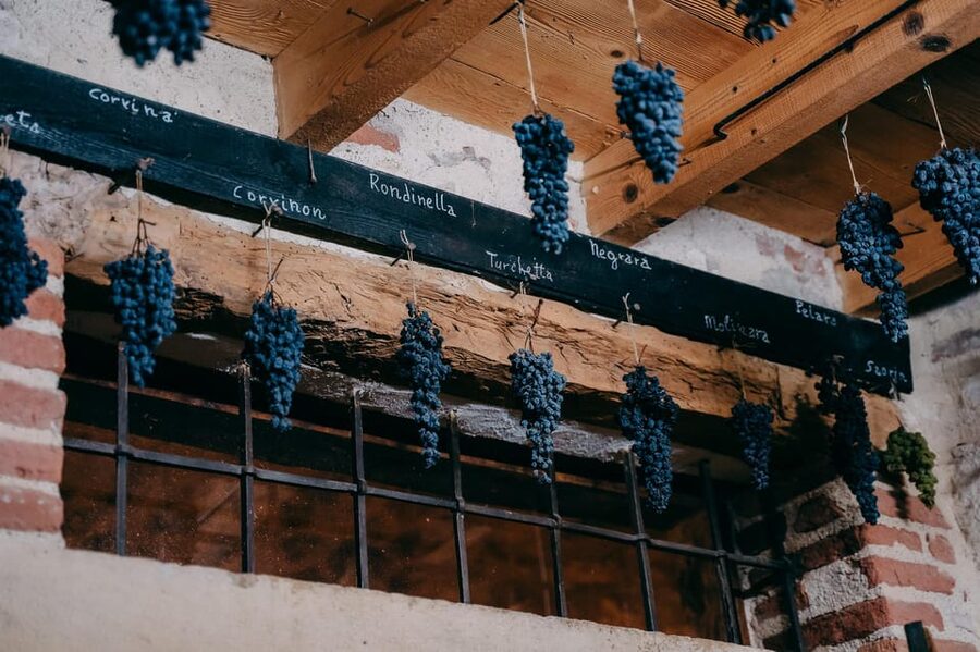 From Verona: Valpolicella and Amarone Wine Tasting Tour - Who will enjoy this Valpolicella tour most?