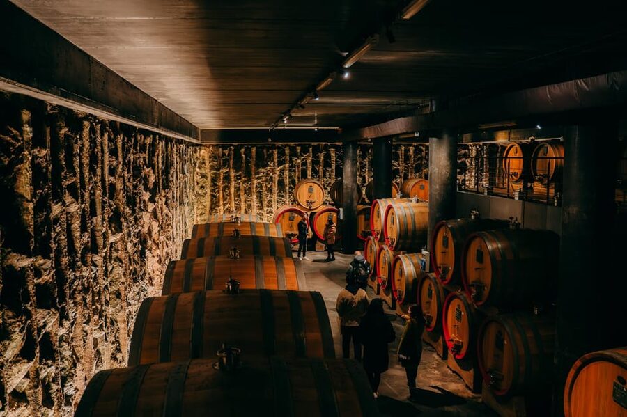 From Verona: Valpolicella and Amarone Wine Tasting Tour - Why Valpolicella makes a good half-day from Verona