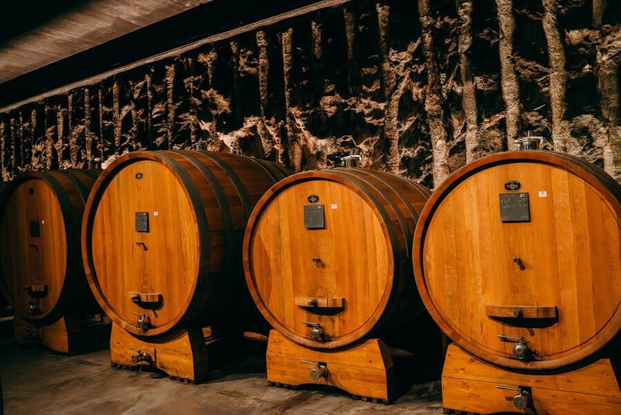 From Verona: Valpolicella and Amarone Wine Tasting Tour - First winery: cellar methods and the Amarone story