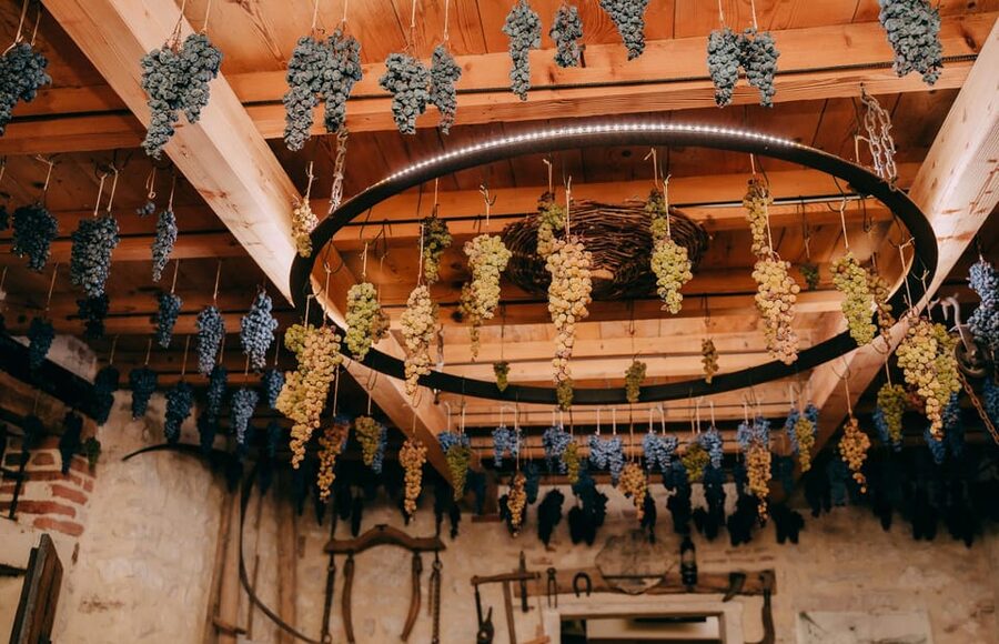 From Verona: Valpolicella and Amarone Wine Tasting Tour - What you learn about Amarone and Ripasso