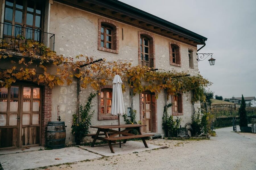 From Verona: Valpolicella and Amarone Wine Tasting Tour - Price and what you receive for $112.15