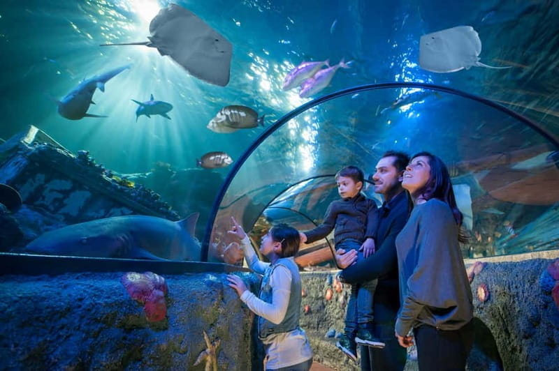Gardaland SEA LIFE Aquarium: Open Date Entry Ticket - Key points to know before you go