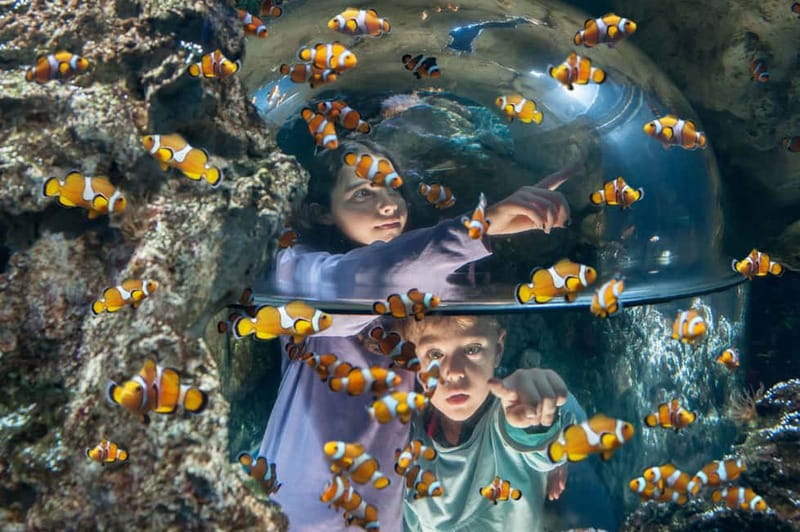 Gardaland SEA LIFE Aquarium: Open Date Entry Ticket - What the Gardaland SEA LIFE visit is really like