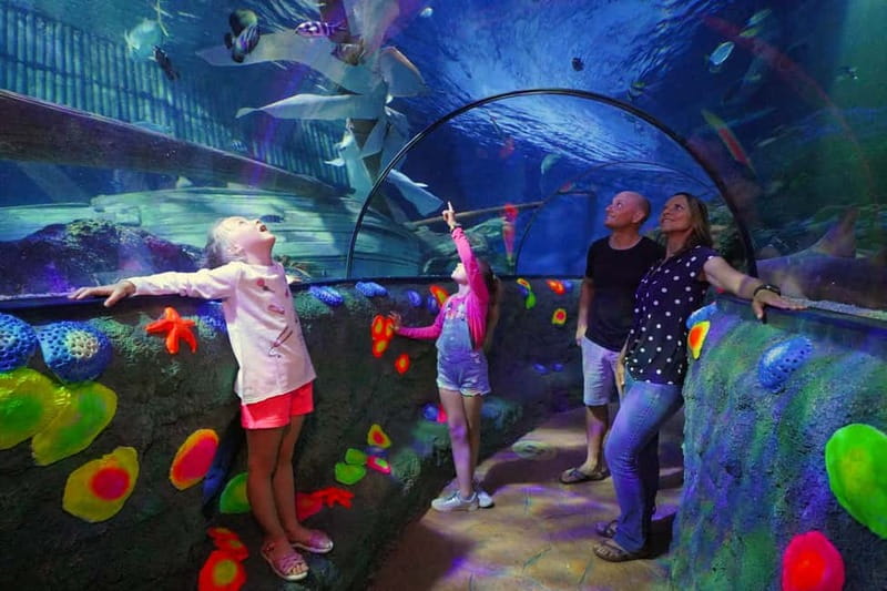 Gardaland SEA LIFE Aquarium: Open Date Entry Ticket - Starting with colorful fish and smaller sea creatures