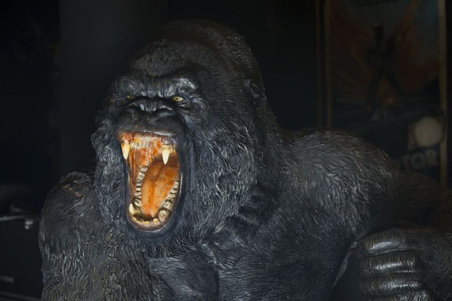 Genoa: Aquarium and FantaCinema Combined Ticket - Booking details that matter