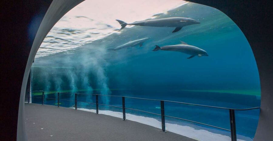 Genoa: Aquarium and FantaCinema Combined Ticket - What makes the aquarium worthwhile