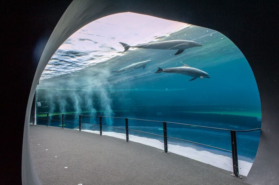Genoa: Aquarium & Christopher Columbus' House Entry Tickets - What this Genoa combo ticket actually gives you