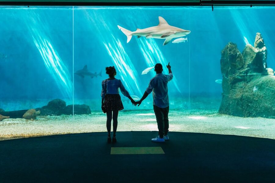 Genoa: Aquarium of Genoa Entry Ticket - Who should book this experience?