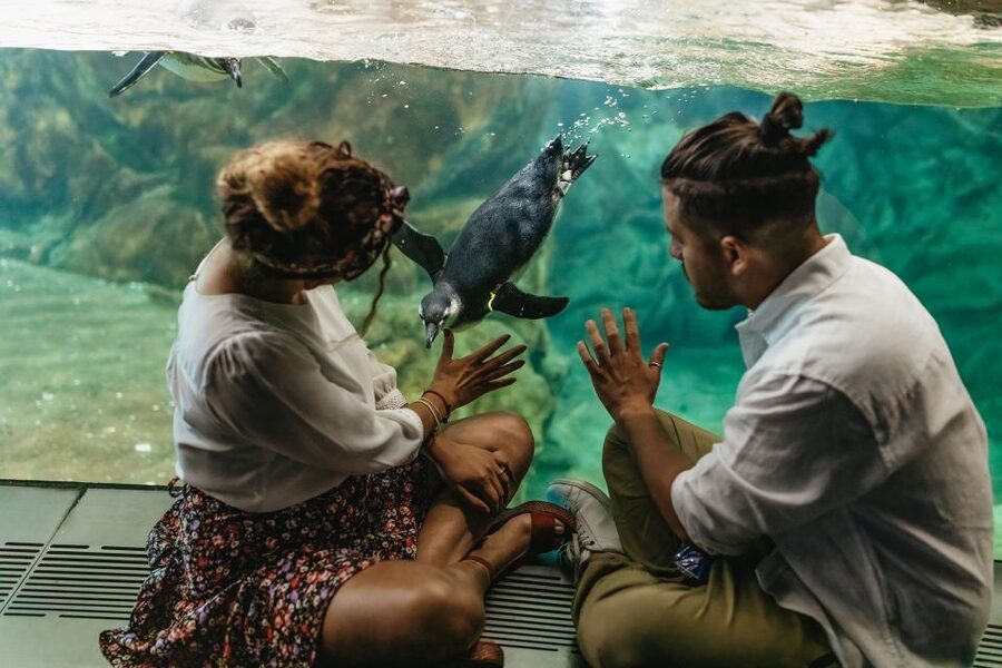 Genoa: Aquarium of Genoa Entry Ticket - How long should you allow?