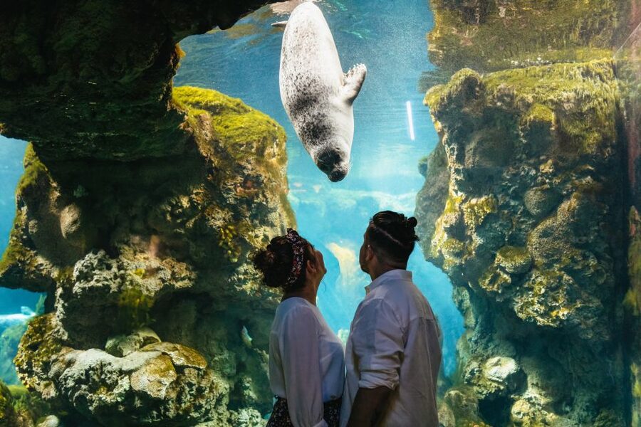 Genoa: Aquarium of Genoa Entry Ticket - Crowds, comfort, and access