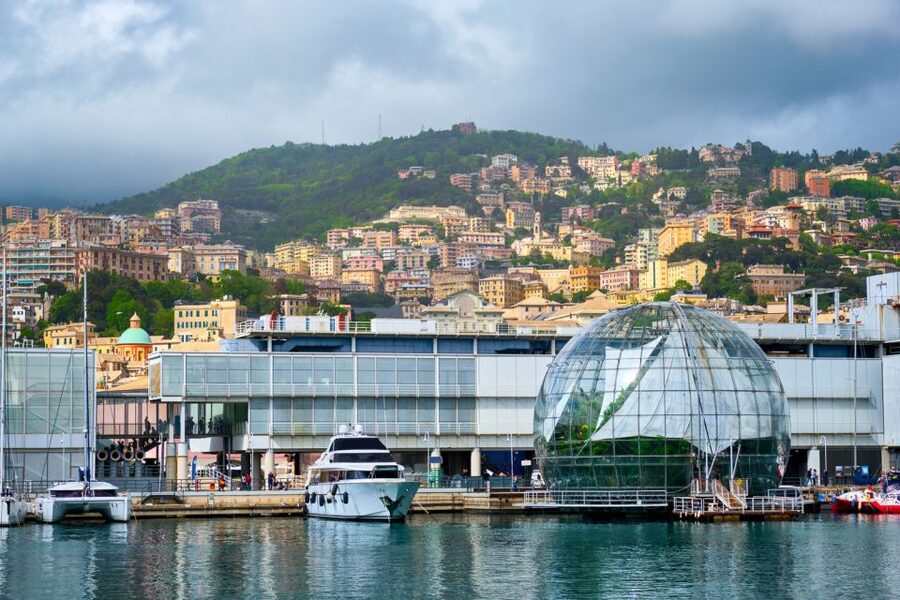 Genoa: Aquarium of Genoa with Lunch - Lunch at Tender Café from 11:30 AM to 4 PM