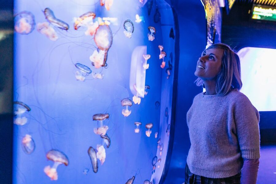 Genoa: Aquarium of Genoa with Lunch - How to plan your day inside the aquarium