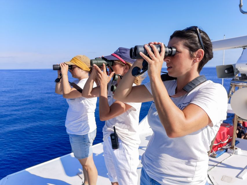 Genoa: Cetacean Watching Cruise with Marine Biologist Guide - Why the Pelagos Sanctuary matters