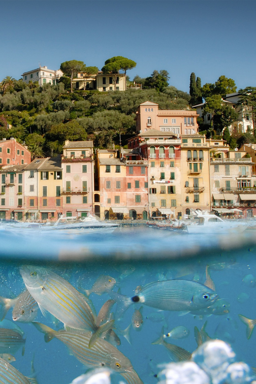 Genoa: Half-Day Tour to Portofino - Coastal views through Camogli and San Fruttuoso Bay