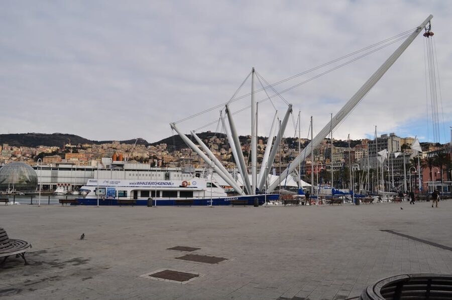 Genoa: Half-Day Tour to Portofino - Crowds, comfort, and the return to Genoa