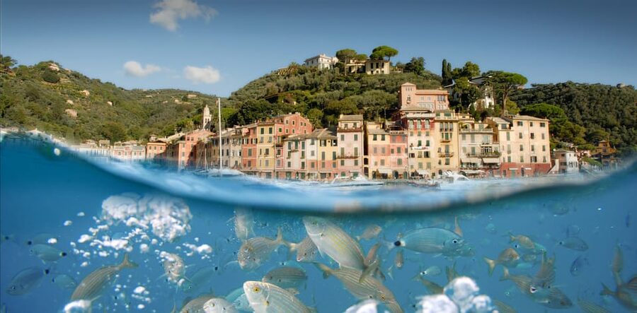 Genoa: Half-Day Tour to Portofino - Is $30 good value?