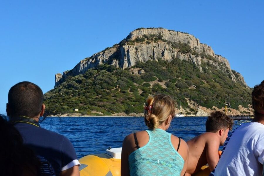Golfo Aranci: Eco-Friendly Dolphin Watching Boat Trip - Key points at a glance