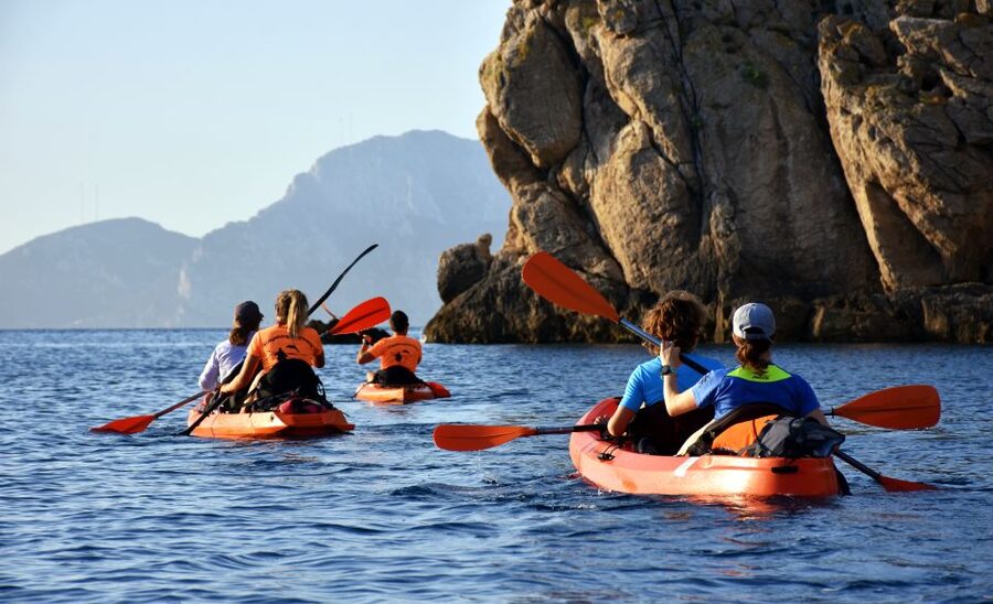 Golfo Aranci: Kayak Tour with Dolphins and Aperitif - Key points to know before you paddle
