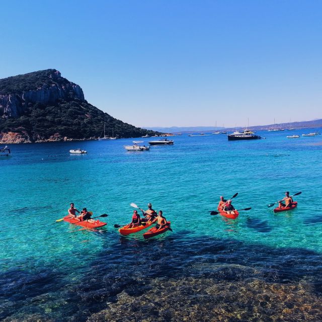 Golfo Aranci: Kayak Tour with Dolphins and Aperitif - Starting at Spiaggia dei Baracconi