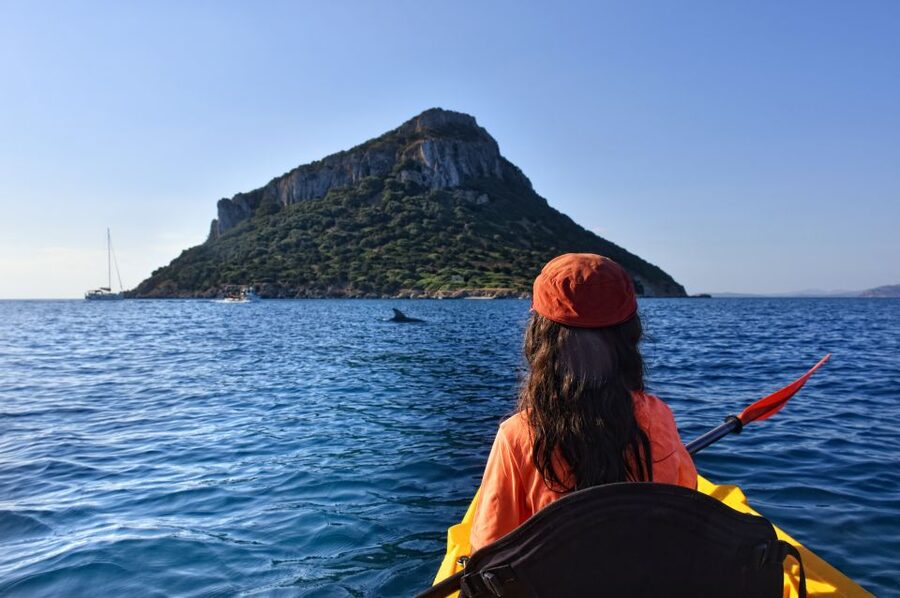 Golfo Aranci: Kayak Tour with Dolphins and Aperitif - Cala Moresca and the first swim