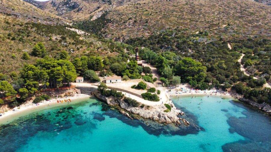 Golfo Aranci: Kayak Tour with Dolphins and Aperitif - Searching for dolphins near the fish farm