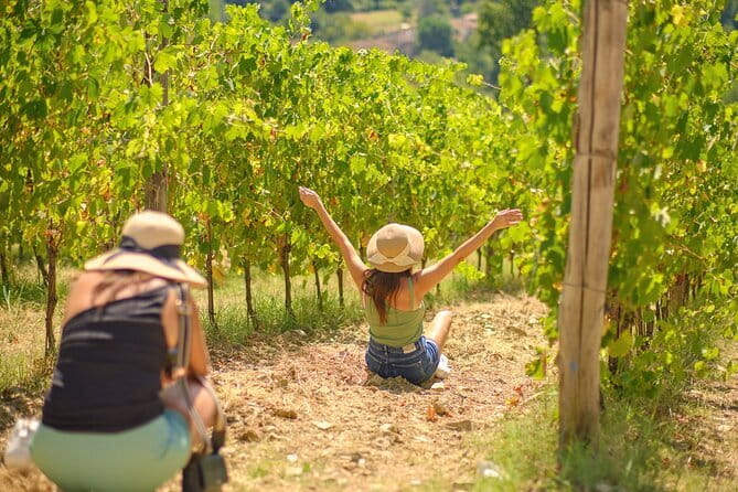 Half day Chianti Vineyard Escape from Florence with Wine Tastings - Key points to know before booking