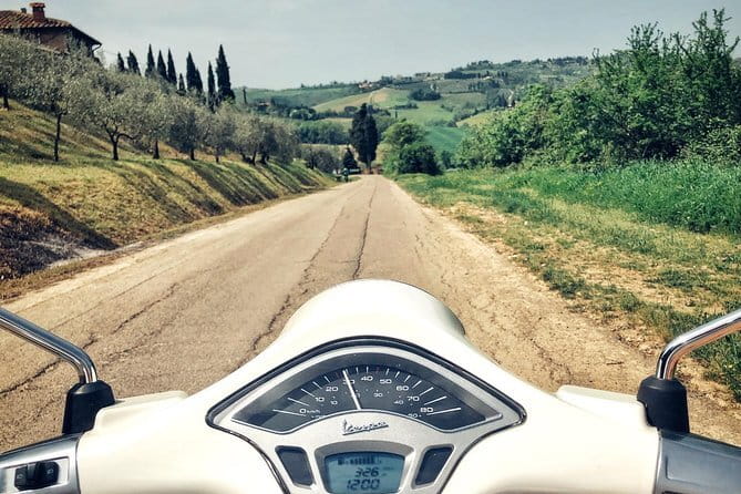Half day Chianti Vineyard Escape from Florence with Wine Tastings - Second winery: a change of pace