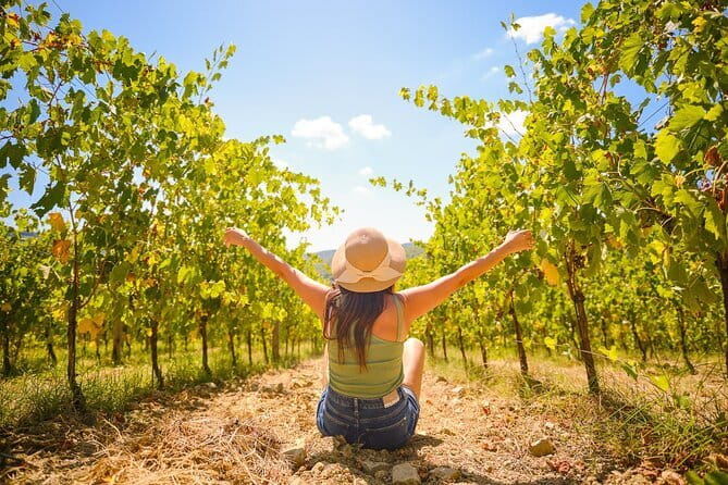 Half day Chianti Vineyard Escape from Florence with Wine Tastings - The Chianti Road and Tuscan views