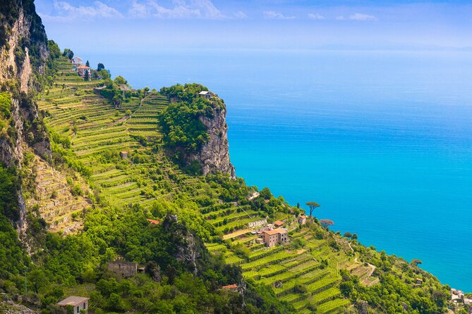 Hands-On Cooking Class & Farmhouse Tour on the Amalfi Coast - Cooking with a small team in an Amalfi kitchen