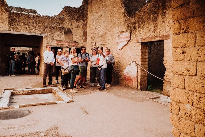 Herculaneum Small Group Tour and Ticket With an Archaeologist - The Augustales and the House of the Relief of Telephus