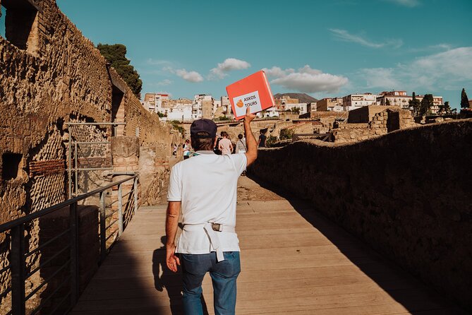 Herculaneum Small Group Tour and Ticket With an Archaeologist - The Black Salon and the Samnite House