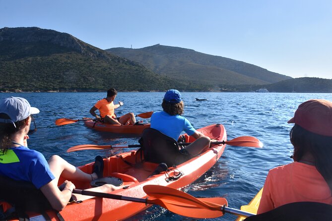 Kayak tour with aperitif and dolphins - Starting at Baracconi Beach in Golfo Aranci