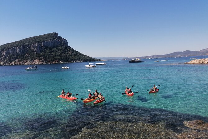 Kayak tour with aperitif and dolphins - Group size and the feel of the outing