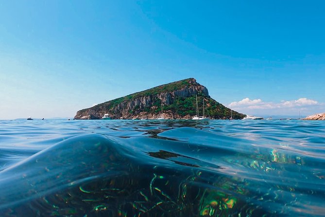 Kayak tour with aperitif and dolphins - Who should book this experience
