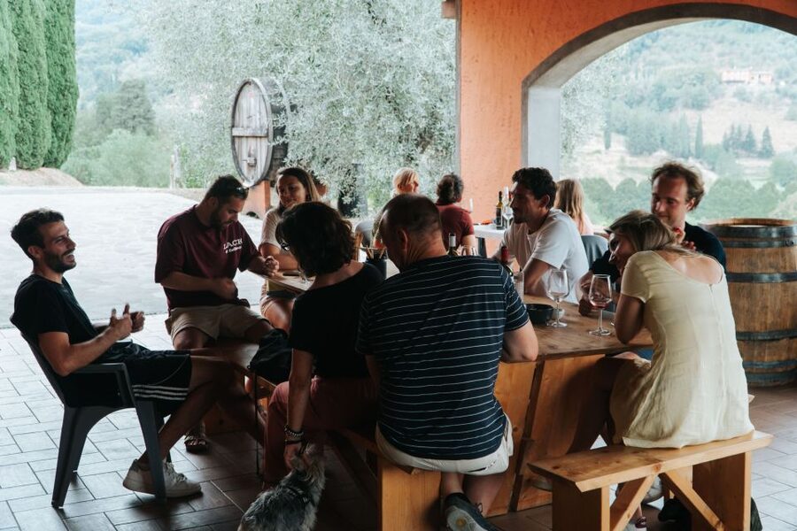 Lucca: Guided Winery Tour with Wine Tasting - Key points at a glance