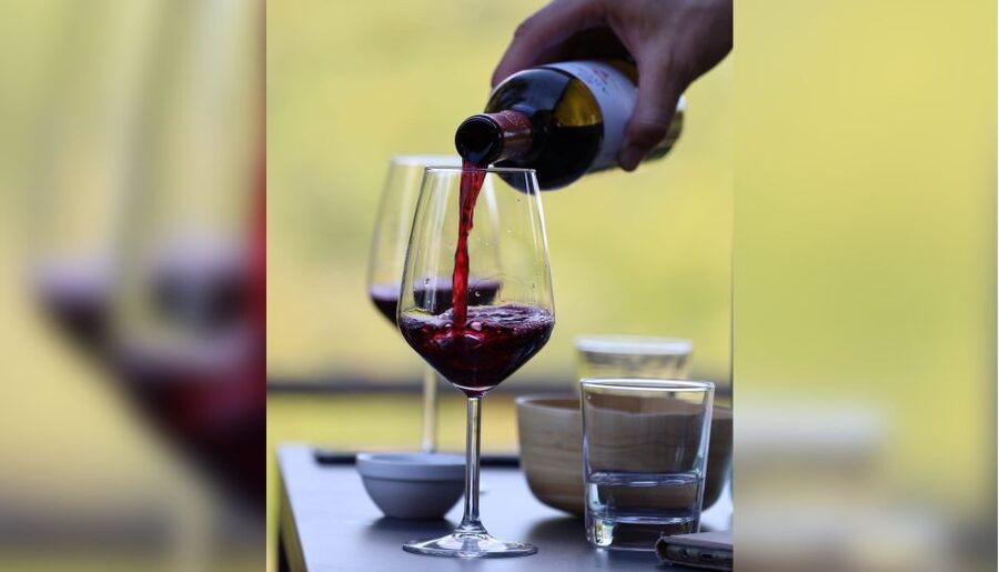 Lucca: Guided Winery Tour with Wine Tasting - The 20-minute cellar tour