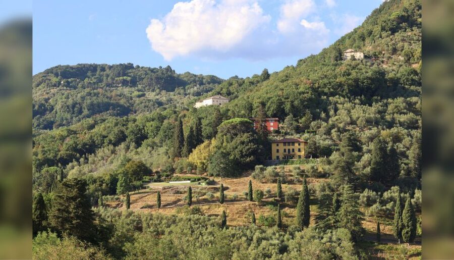 Lucca: Guided Winery Tour with Wine Tasting - Five pours, four glasses, and a relaxed tasting