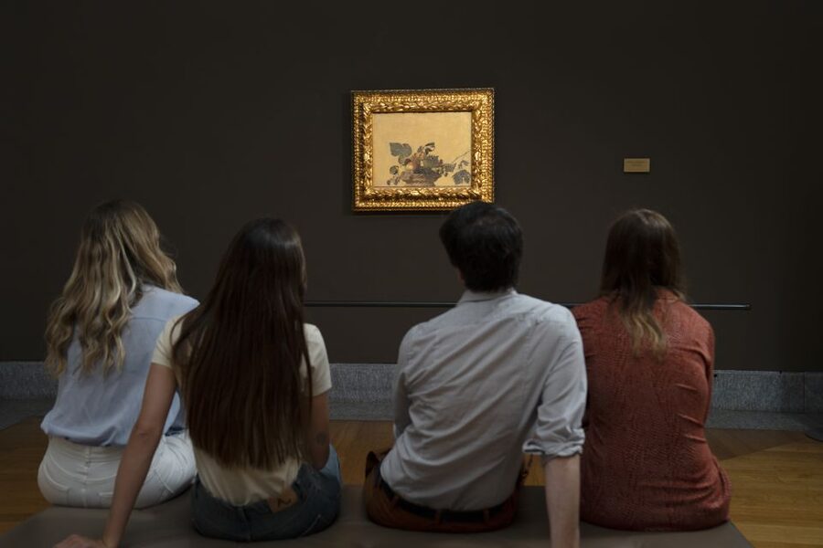 Milan: Pinacoteca Ambrosiana & da Vinci Codex Exhibition - Raphael’s School of Athens cartoon
