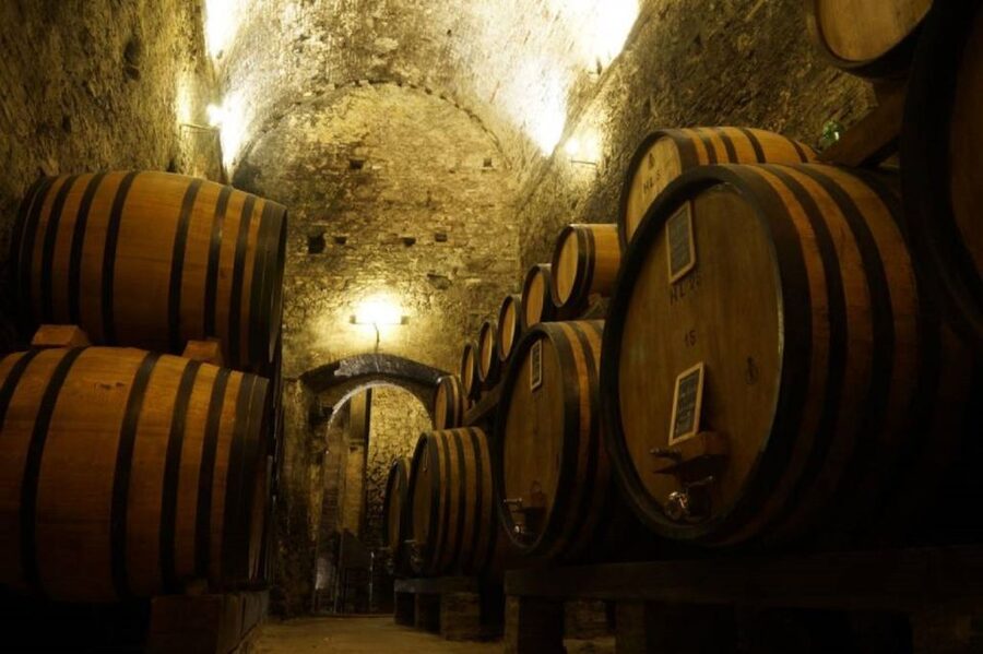 Montepulciano: Wine Tasting and Cellar Tour - Entering Montepulciano’s old cellar