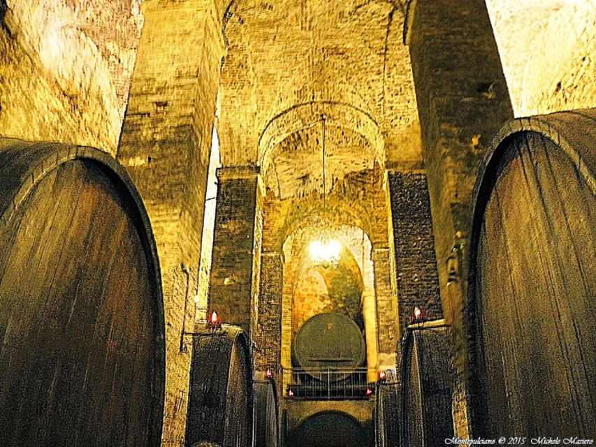Montepulciano: Wine Tasting and Cellar Tour - The barrel room and the wood behind Nobile wine