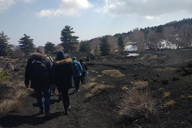 Mount Etna Half-Day Small Group Tour from Taormina - The chalet stop, food, and Etna wine