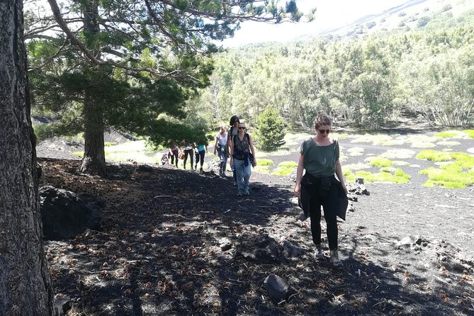 Mount Etna Half-Day Small Group Tour from Taormina - Pickup, group size, and the six-hour rhythm